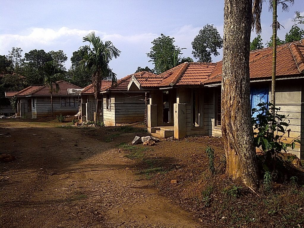 Portfolio Image